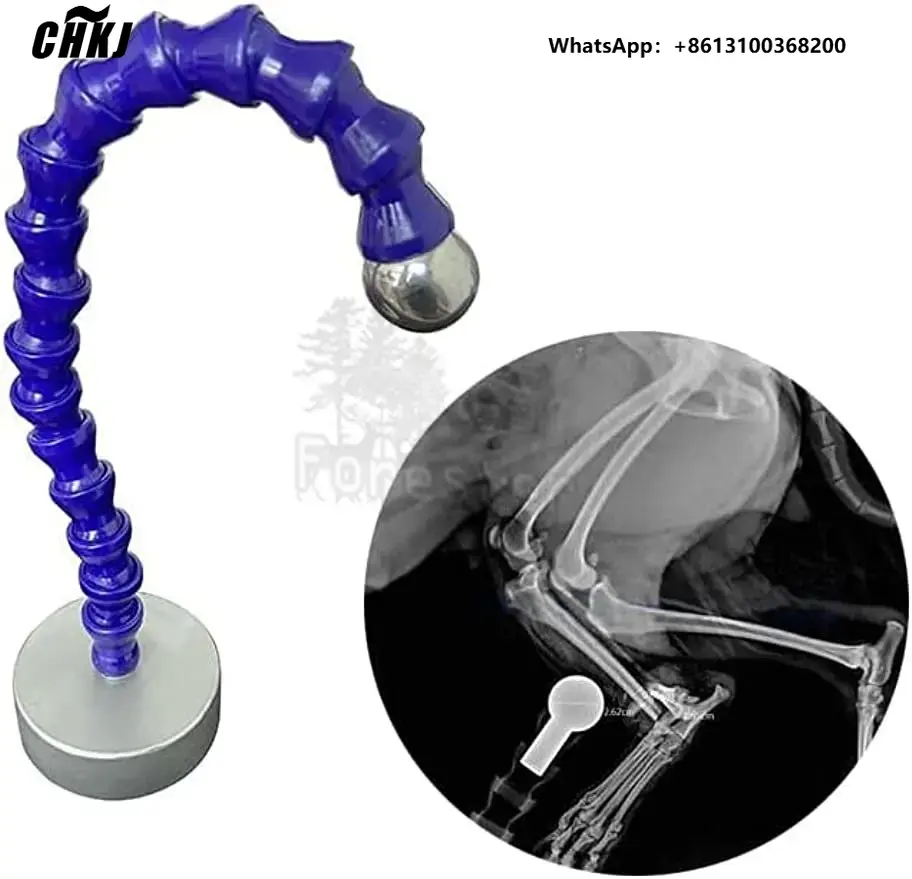 Veterinary X-Ray - Kula referencyjna do radiografii, instrument ortopedyczny,
