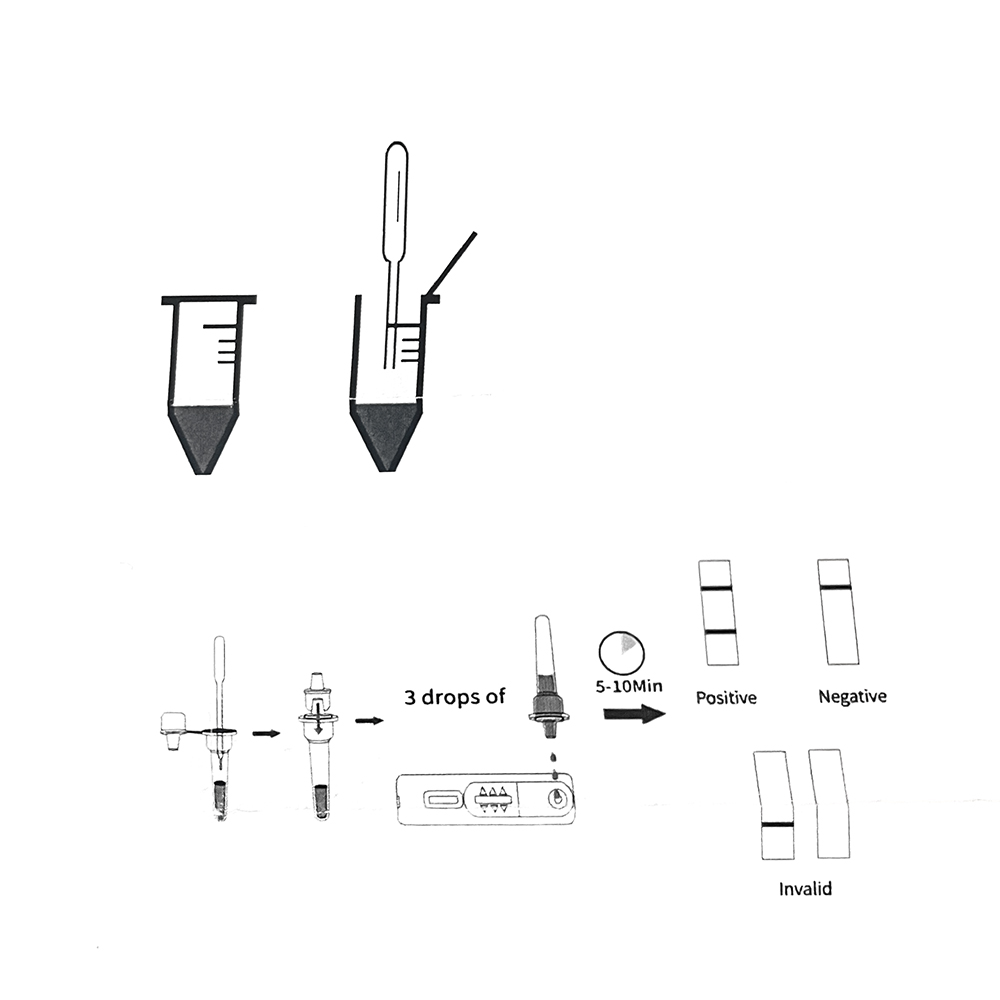 1 zestaw/5 zestaw profesjonaln – Urine Analyzer Strip recenzja i cena