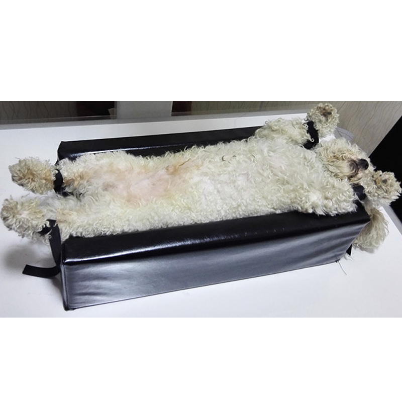 Mały rozmiar Narzędzia do rent – Veterinary X-Ray recenzja i cena